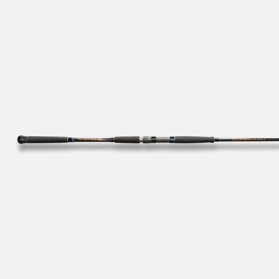 Cape Cod Special 10'6 Nano Light Surf Rod