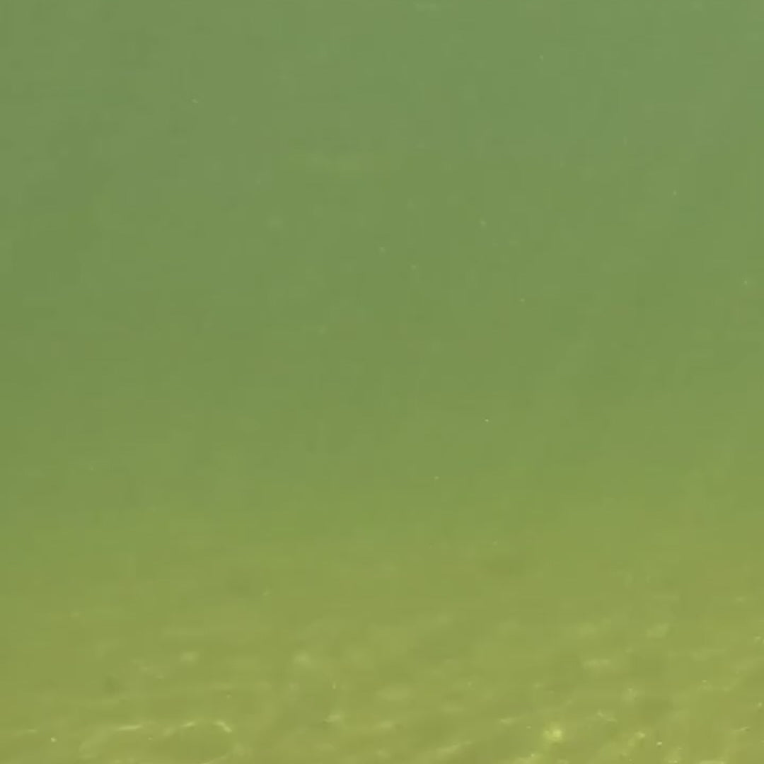 Leurre dur Fox Rage Replicant Swim