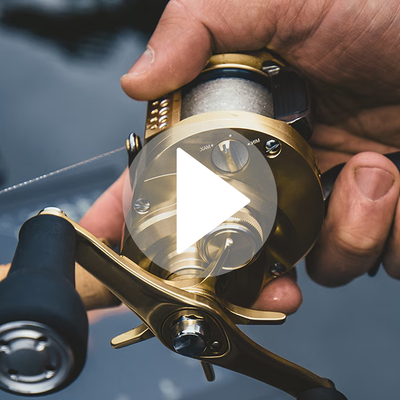 Moulinet Shimano Curado 301 K