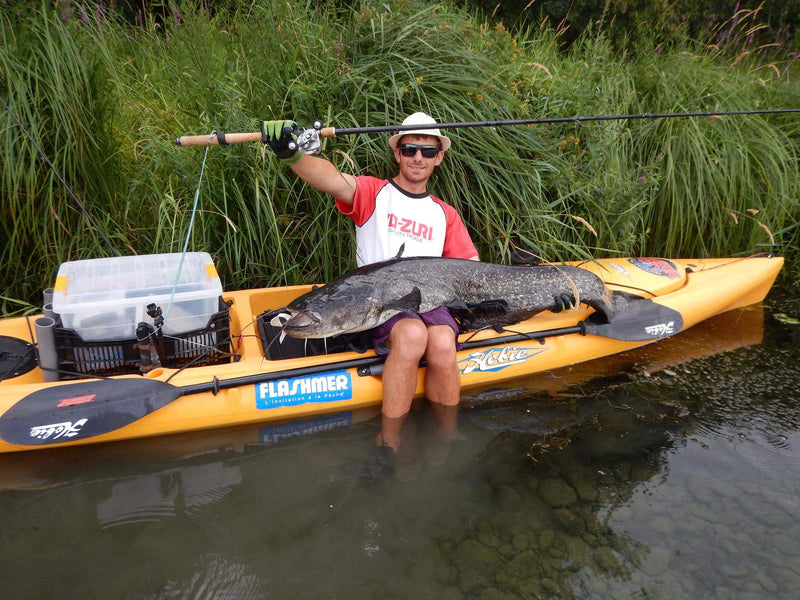 Catfish