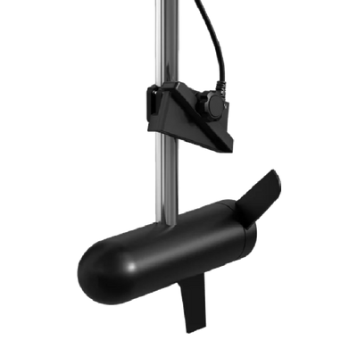 Système LiveScope™ Plus, avec sonde GLS 10™ et LVS34